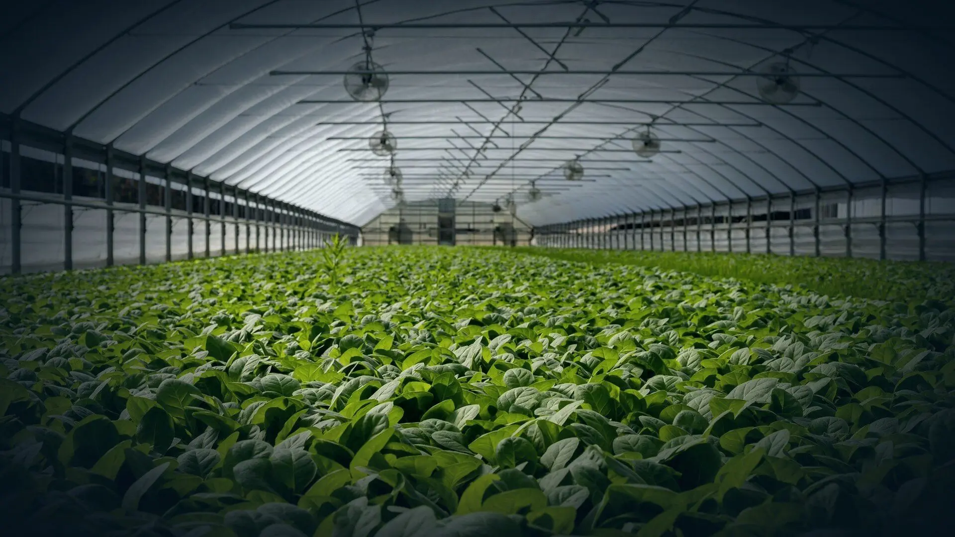 Agriculture